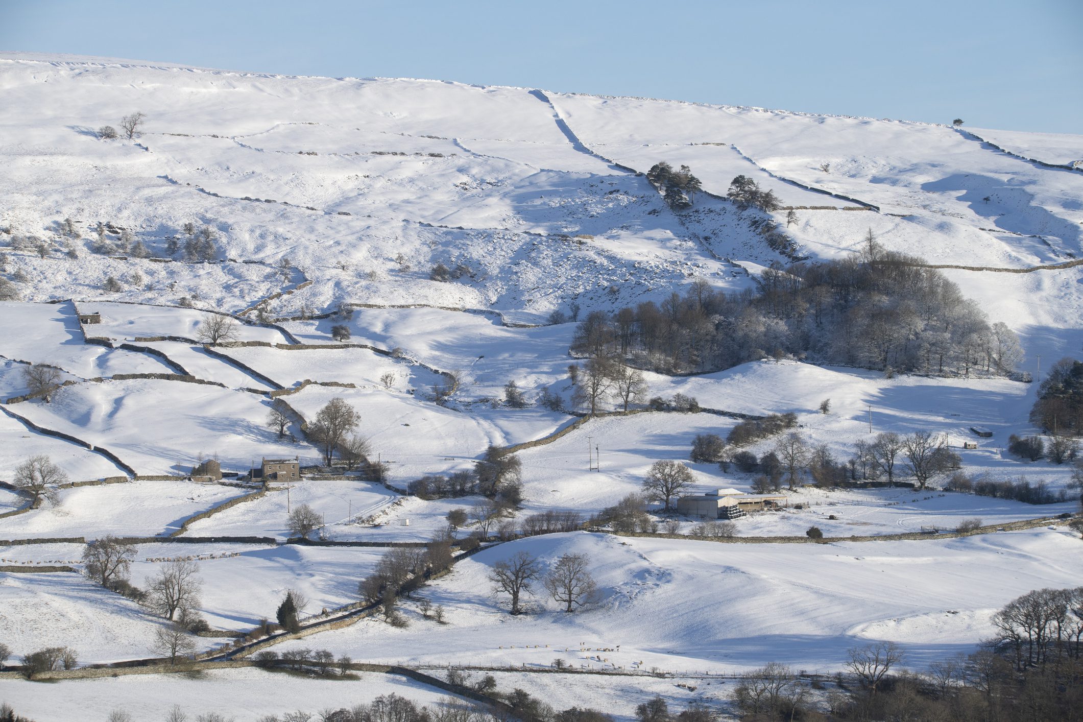 Serene snowy countryside view