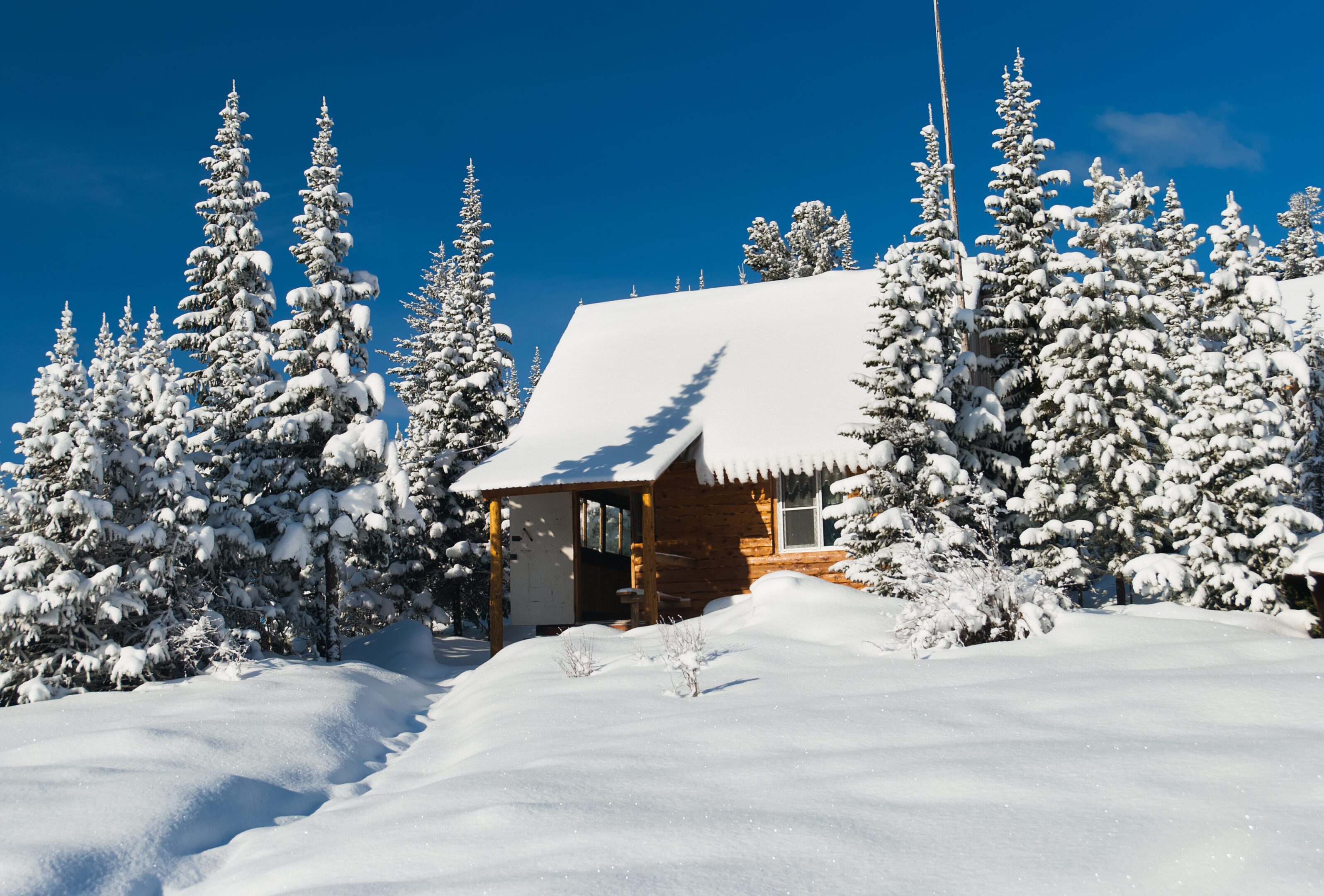 Winter cabin in a snowy forest