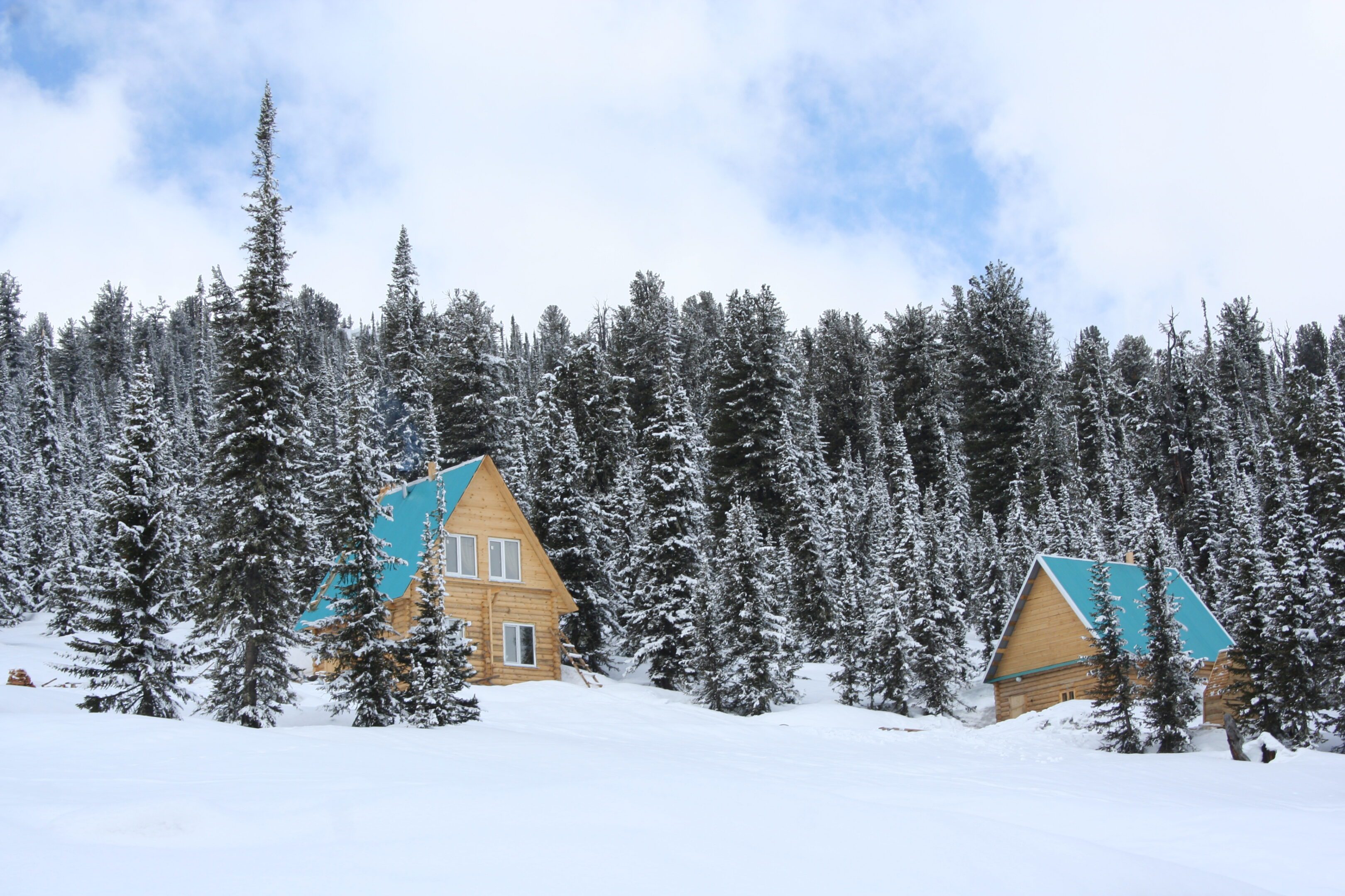 Cabins in snowy forest landscape