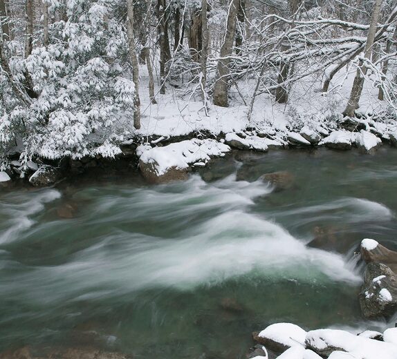 Icy stream surrounded by snow-covered forest