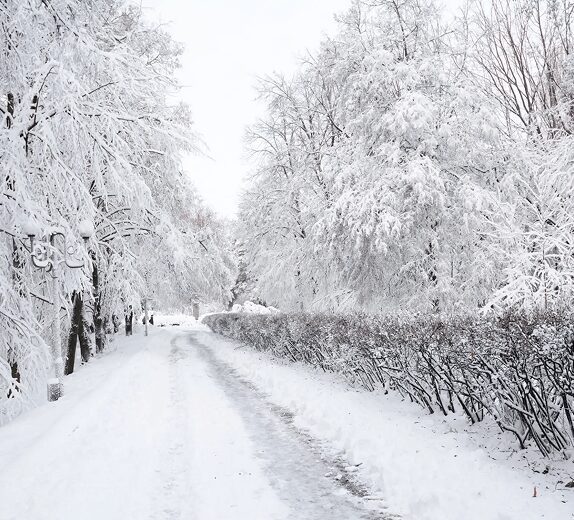 Snow-covered path with frosty trees